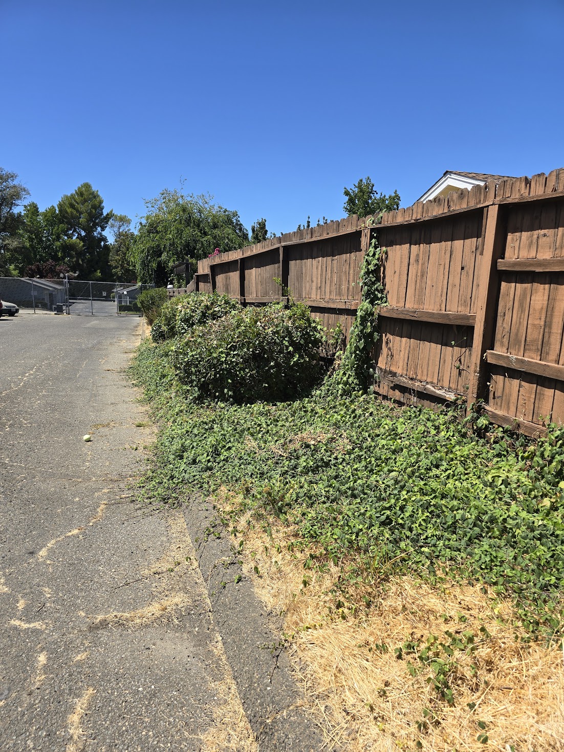 Entrance to Edgewood Townhomes
